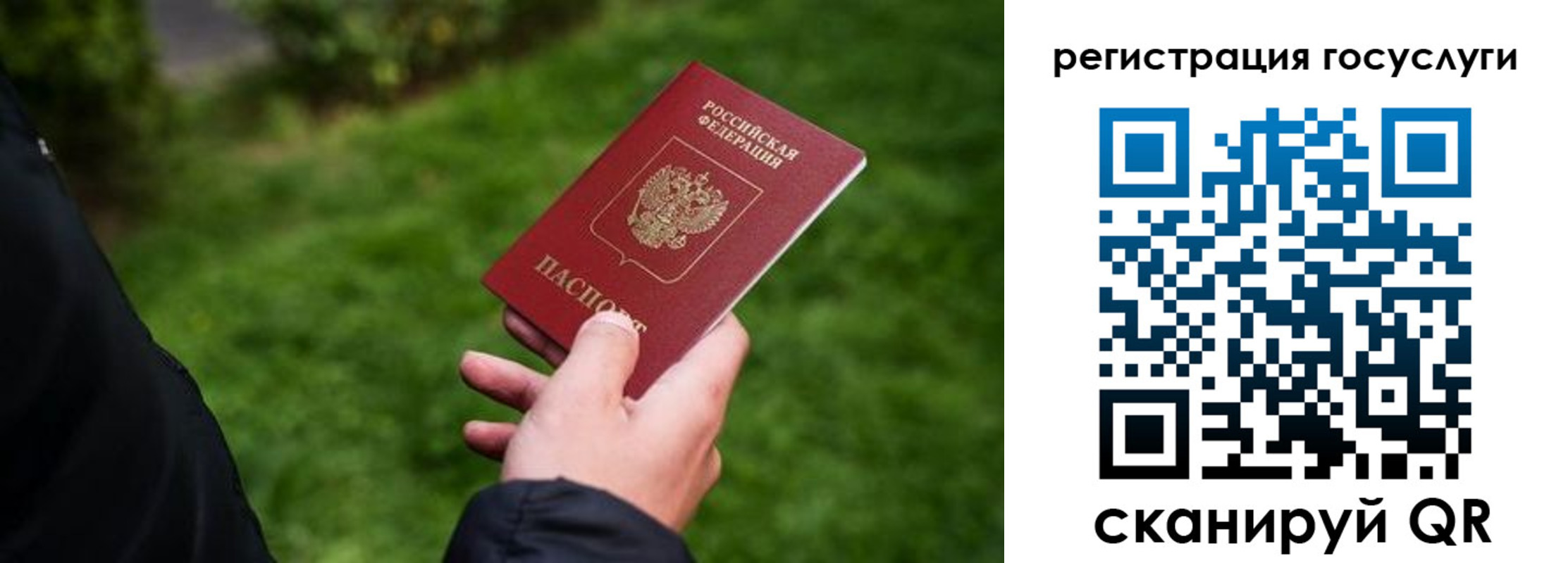 прописка в Электрогорске